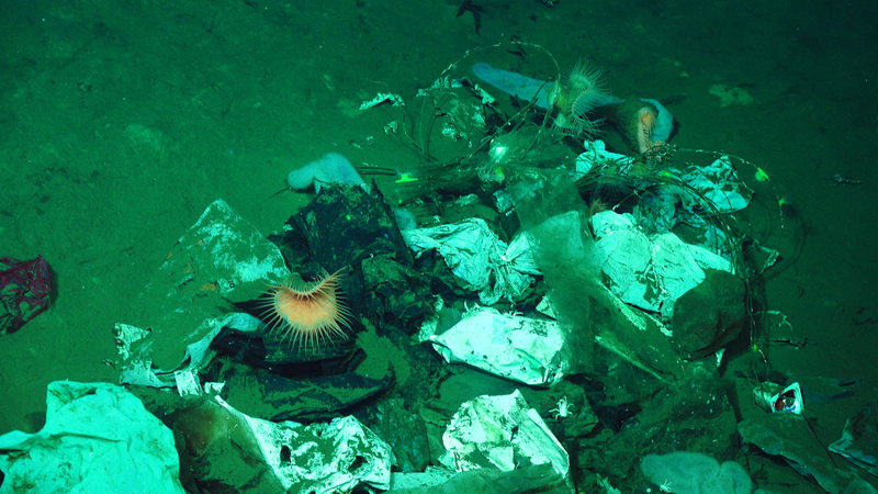A collection of garbage found two miles beneath the surface